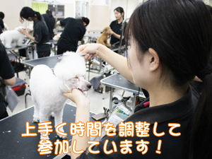 スキルアッププログラム♪